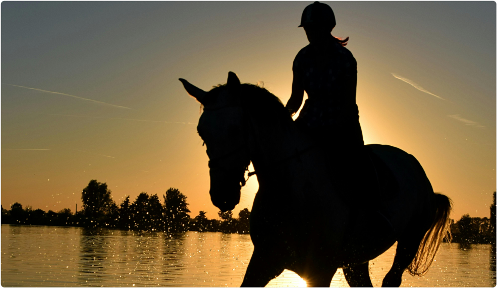 Silhouette of a rider on horseback by a lake at sunset, highlighting the grace of horses